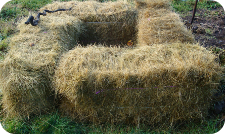 A worm box made of hay